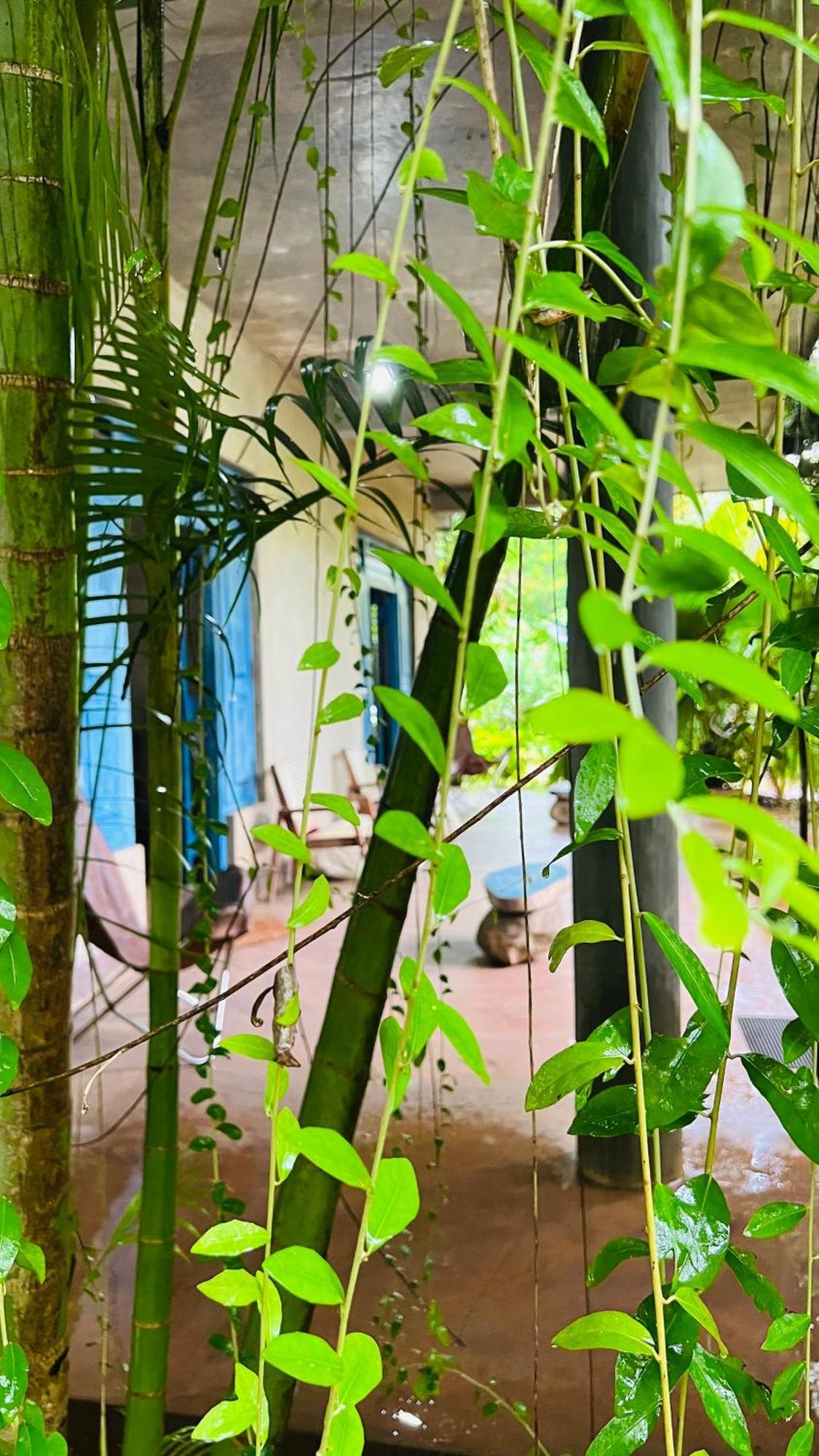 Kataragama Homestay Εξωτερικό φωτογραφία