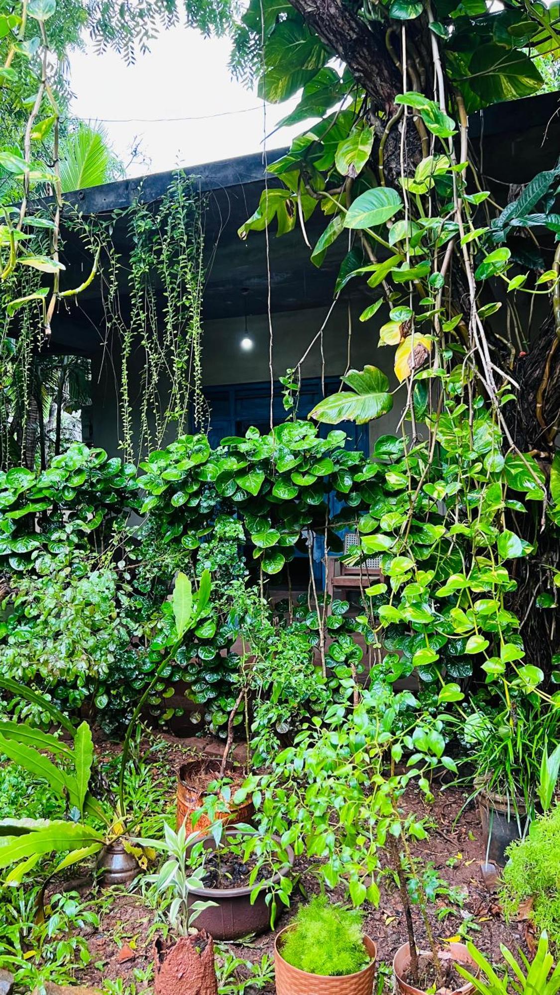 Kataragama Homestay Εξωτερικό φωτογραφία
