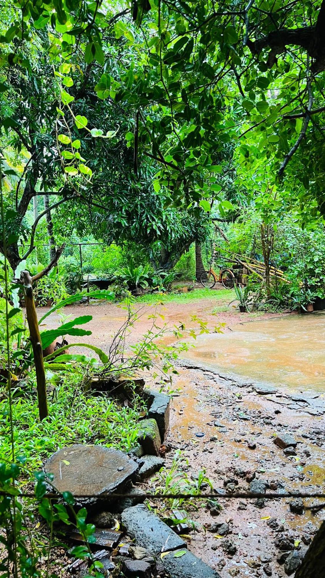 Kataragama Homestay Εξωτερικό φωτογραφία