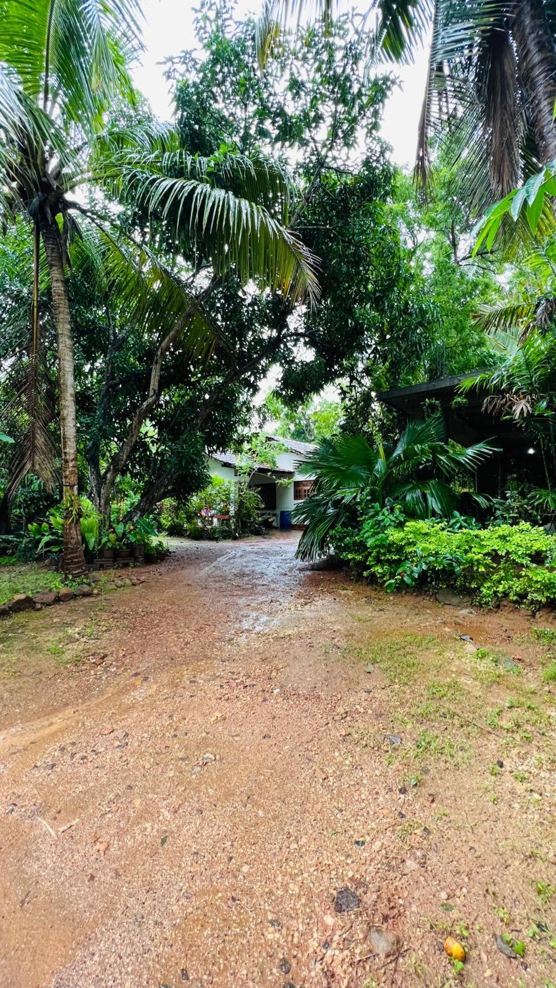 Kataragama Homestay Εξωτερικό φωτογραφία