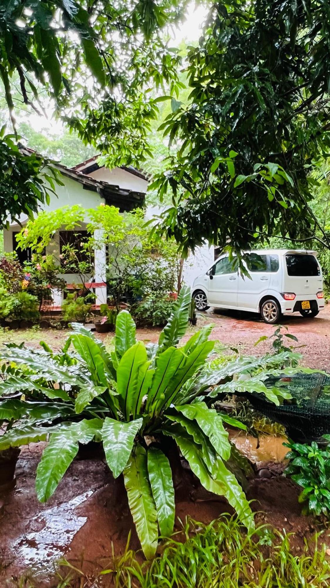 Kataragama Homestay Εξωτερικό φωτογραφία