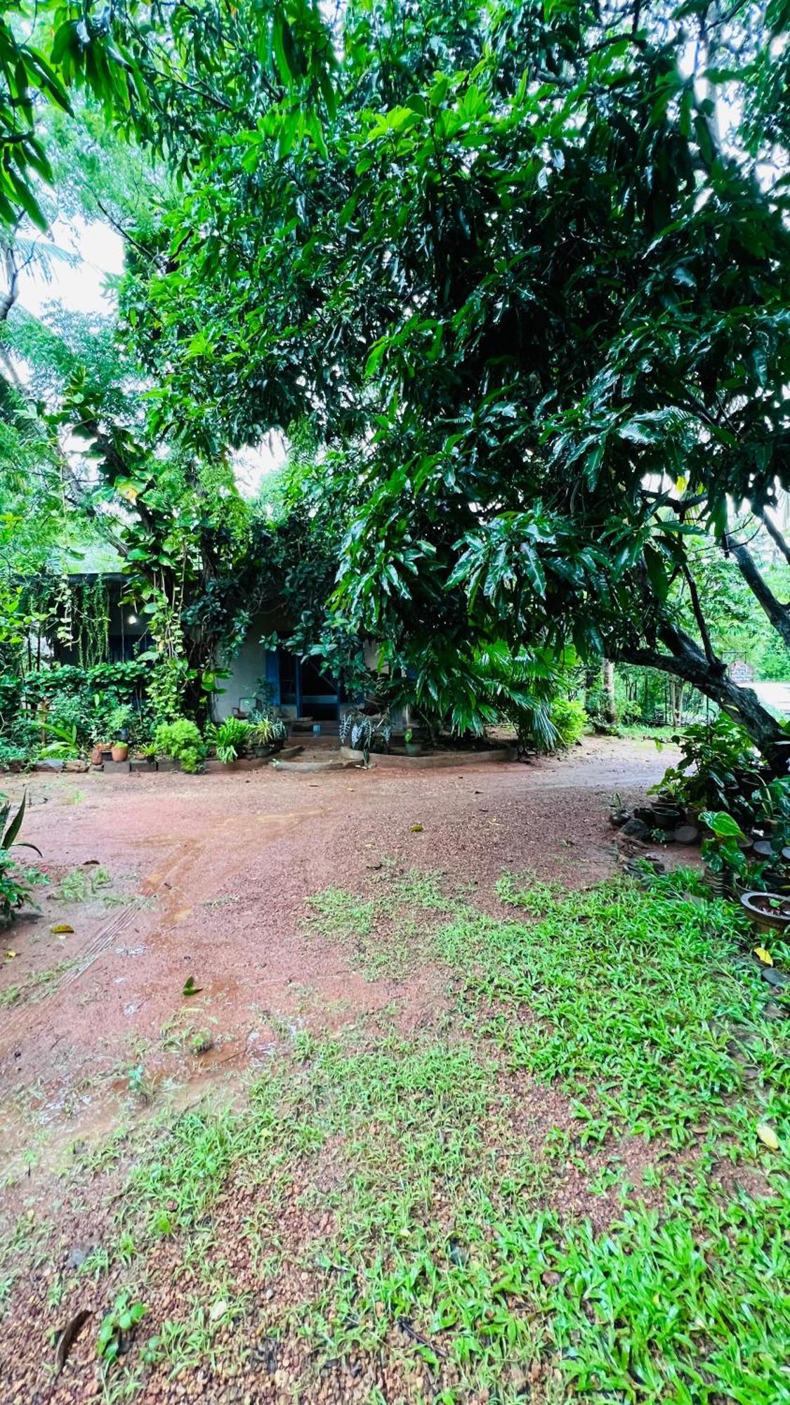 Kataragama Homestay Εξωτερικό φωτογραφία
