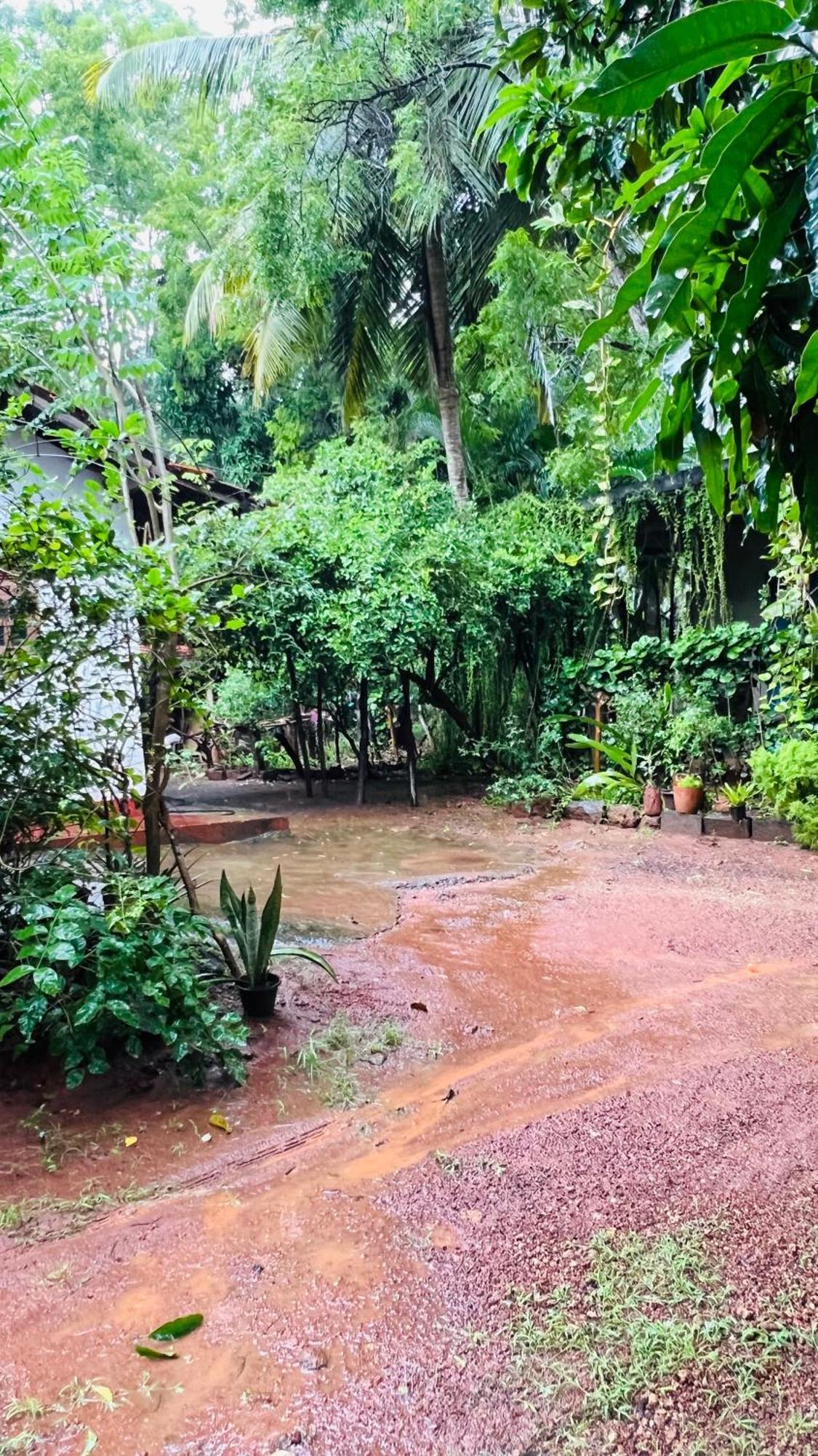 Kataragama Homestay Εξωτερικό φωτογραφία