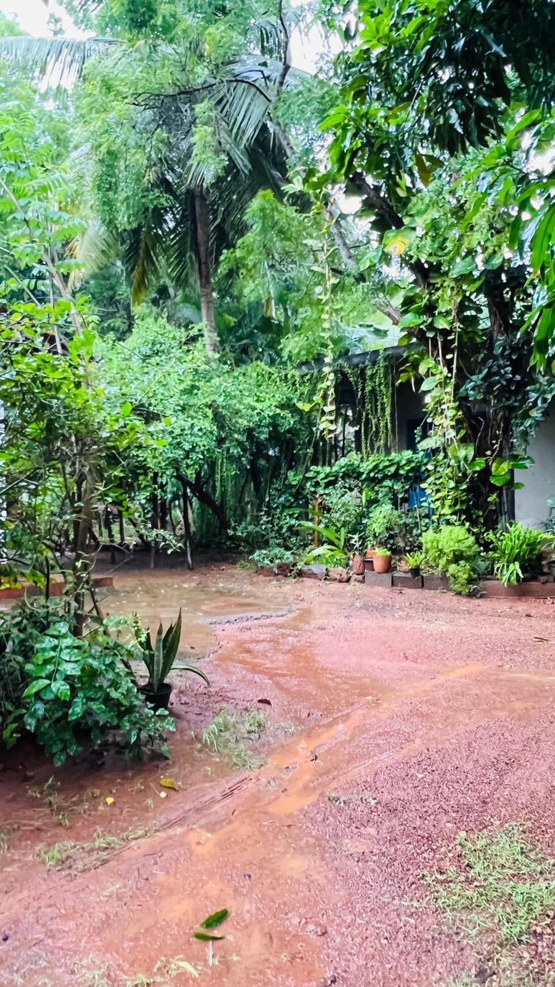 Kataragama Homestay Εξωτερικό φωτογραφία