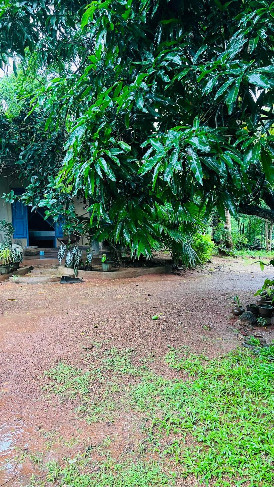 Kataragama Homestay Εξωτερικό φωτογραφία