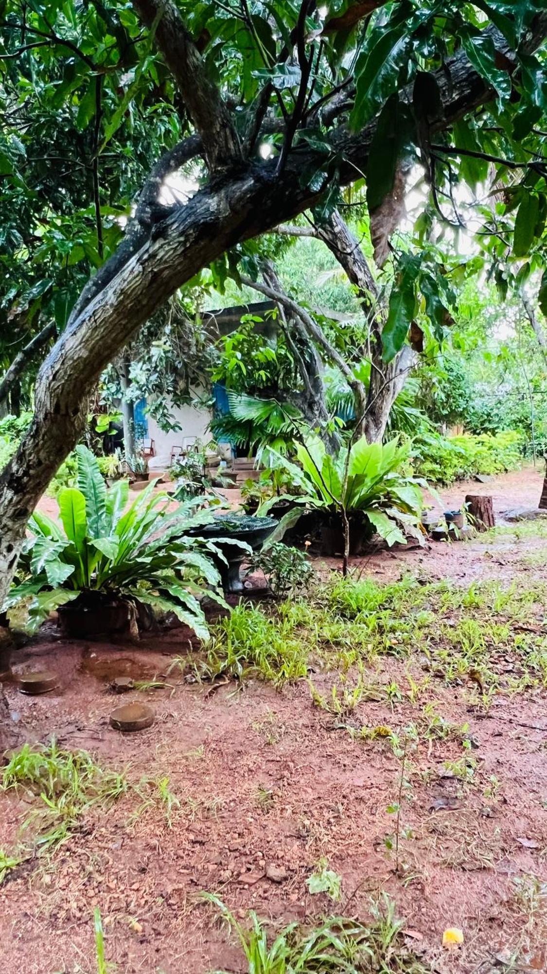 Kataragama Homestay Εξωτερικό φωτογραφία