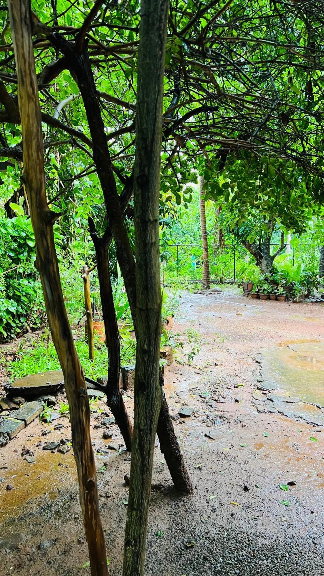 Kataragama Homestay Εξωτερικό φωτογραφία
